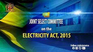 Joint Select Committee on The Electricity Act, 2015 - March 25, 2021