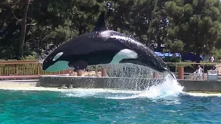 Dine with Corky's Family - August 23, 2019 - SeaWorld San Diego