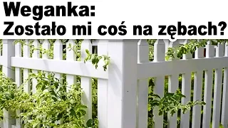 Dzienna Dawka MEMÓW 🤣 |24| Polskie memy 2023 | Memy po Polsku |