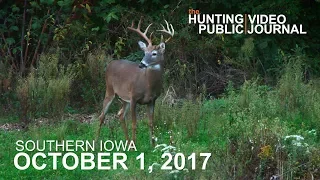 Private Land: October 1 - Opening Morning, Hunting Food Close to Bedding | The Hunting Public
