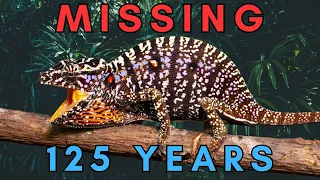 Lost and Found - The Rediscovery of 5 Lost Species