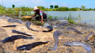 amazing fishing! a lot of fish on the road when flood catch by hand by a fisherman skill