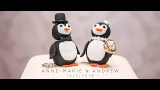 Anne-Marie & Andrew Wedding Film Highlights