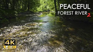 4K Peaceful Forest River 2 - Relaxing Water Stream Sounds - 9 Hours - Nature Video for Sleeping