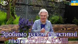 Зробимо разом ефективні ліки з ЖИВУЧКИ🌺