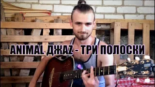 Animal ДжаZ - Три полоски [Guitar cover by V.TRAUR]