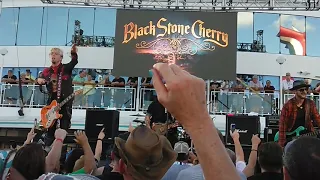 Black Stone Cherry 1