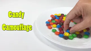 Candy Camouflage STEM Activity