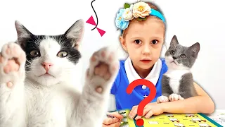 ناستيا ومجموعة القصص المضحكة عن قططها الصغيرة! تجميع الفيديو للأطفال