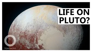 Pluto Has a Liquid Ocean That May Host Life