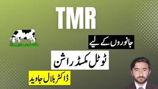 Total Mix ration in Pakistan | TMR by Dr Bilal | how to make TMR