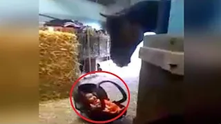 The child was left in the stable, and he burst into tears. Just look what the horse did!