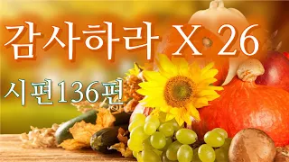 감사하라 X 26! 이 고난의 시간에 감사 곱하기 26?, 시편 136편의 감사를 묵상하다