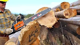 Testing The Cheapest Chainsaw On AMAZON