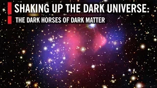 Shaking Up the Dark Universe: The Dark Horses of Dark Matter