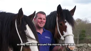 World Clydesdale Show