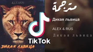 أغنية تيك توك حركة الأسد🦁 ALEX & RUS - Дикая львица |مترجمة للعربية
