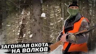 Загонная Охота на Волков.