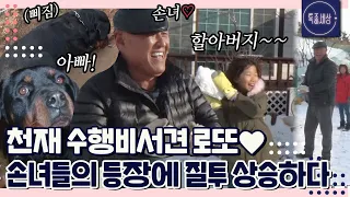 [FULL영상] 관심을 아무리 끌어도 손녀와 놀아주느라 대답 없는 아빠, 똑똑이犬 로또 질투하다!