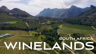 South Africa, wineries and beach by the ocean | Stellenbosch and Knysna
