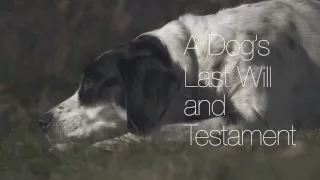 A Dog's Last Will and Testament