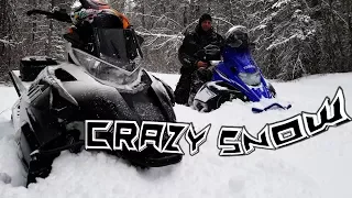 CRAZY Deep SNOW in Alberta - Snowmobile