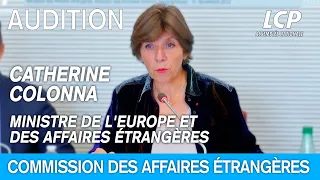 Situation au Niger et au Gabon : Catherine Colonna auditionnée -  4/10/2023