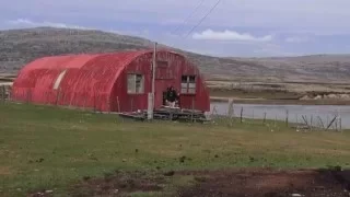 Life in the Falklands