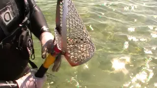 💍💦Водный коп (Мой первый водный коп)