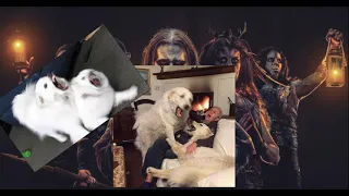 POWERWOLF -  Demons Are A Girl's Best Friend | DOGS COVER