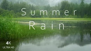 Summer Rain  | Ambient Nature | Uplifting Music