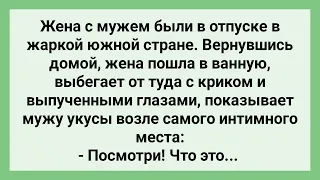 Жена После Отпуска Обнаружила у Себя на Ляжках... Сборник Свежих  Смешных Жизненных Анекдотов!