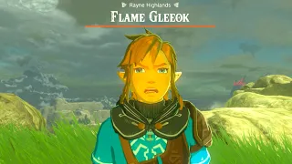 When you encounter a Gleeok in Tears of the Kingdom