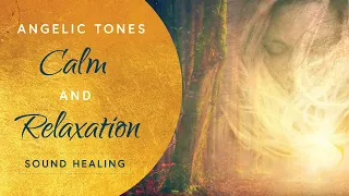 3 Hours of Peaceful, Soul Healing Music - Acoustic Guitar with Angelic Tones for Calm and Relaxation