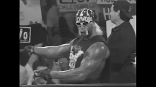 nWo Theme - Hollywood Hogan Voodoo Child