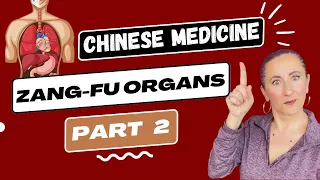 The Zang Fu Organ theory in Chinese Medicine (Part 2)