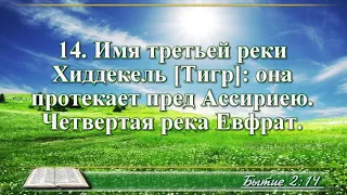 ВидеоБиблия Бытие глава 2 Бондаренко