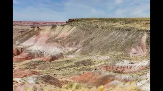 Petrified Forest National Park