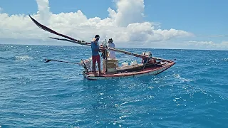 (Guerreiros Do Mar)AH 20 KM EM ALTO MAR, FIZEMOS A MELHOR PESCARIA DE TODAS, CIOBAS E CAVALAS