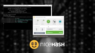 How to start with NiceHash mobile   Official Guide