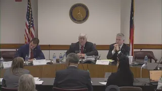 Fani Willis investigation Georgia Senate hearing | Part 2