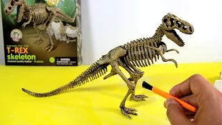 T-Rex Skeleton - Dinosaur excavation kit  | Esqueleto Tiranosaurio Rex de juguete para excavar - 4/7