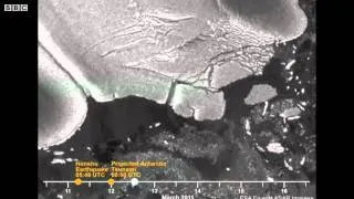 Japan tsunami causes Antarctic glacier to break Video BBC News