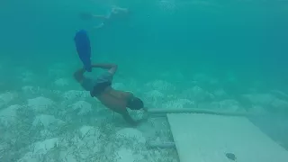 Catching Lobster in Belize