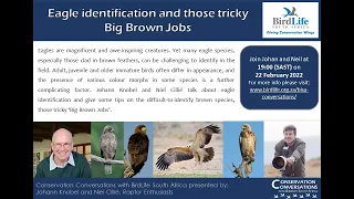 Conservation Conversations: Johann Knobel & Niel Cillié - Identifying Africa’s Eagles (22Feb22)