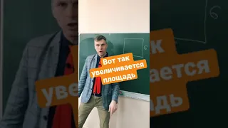 Вот так увеличивается площадь