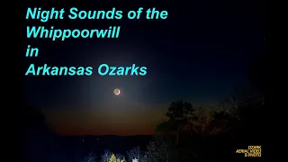Night Sounds of the Whippoorwill in Arkansas Ozarks