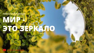 Мир - это зеркало (Николай Литвин)