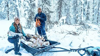 Harvesting Firewood in Alaska! Heating our Off Grid Cabin + Blueberry Biscuits!