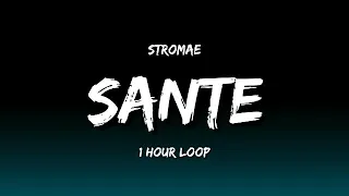 Atromae - Sante (1 Hour Loop)